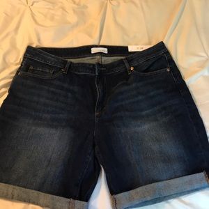 Loft Denim Shorts